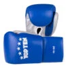 Top Ten Pro Boxing Gloves - Blue/silver, 20182-6110