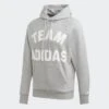 Adidas Hood - Grey, DX7957
