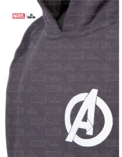 Daedo Hoodie Avangers - Grey, MARV50522 -Boxing Equipment Store 3dac6b3bb241f6d8d43a552da42170f2