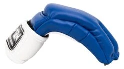 Top Ten MMA Gloves Striking C-Type - Blue/white, 23351-61 -Boxing Equipment Store 409f0942b43f3378617f2245dbc195d8