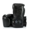 Fairtex Boxing Gloves Booster Series - Black