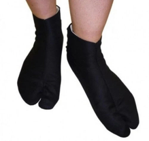 Tabi TS-2, TS-2 1 Tabi TS-2, TS-2