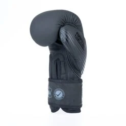 Fighter Boxing Gloves SPLIT Stripes - Black -Boxing Equipment Store FBG 001 SBK03