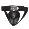 Fighter Iron Groin Protector - Black, JE1577