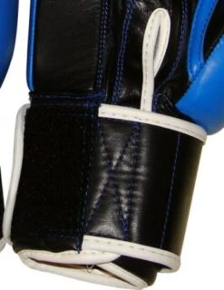 Top Ten Competition Boxing Gloves Olympia - Blue, 2011-6 -Boxing Equipment Store d1a7845c1f0049d2b42bd57c8920d9b6