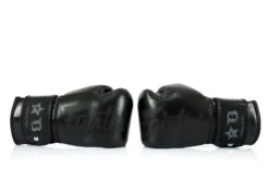 Fairtex Boxing Gloves Booster Series - Black -Boxing Equipment Store fairtex booster black on black4