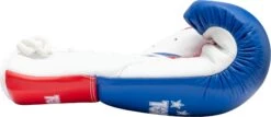 Top Ten Classic Lace Up Boxing Gloves - Tricolor -Boxing Equipment Store top ten gloves profi tricolor blue red 20183 side2 1